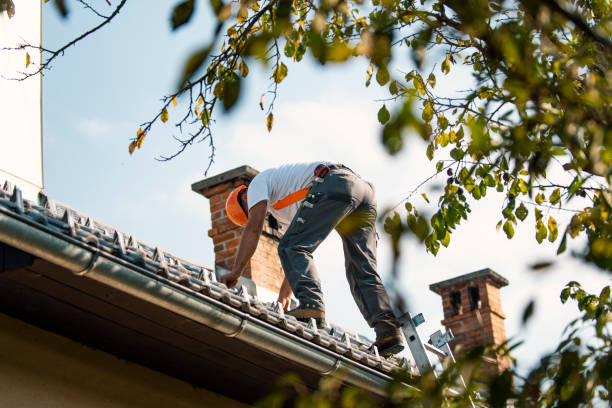 Professional Roofing Contractor in Arden Hills, MN