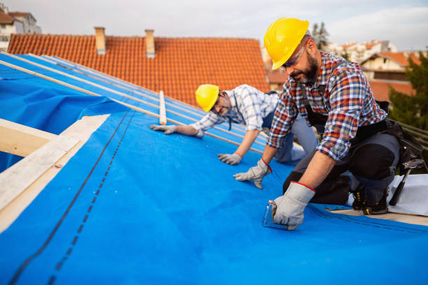 Roof Installation Near Me in Arden Hills, MN